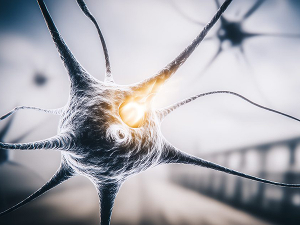 artistic rendering of a motor neuron